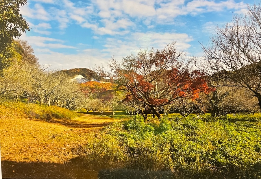 貝島百合野山荘